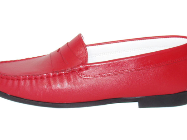 Mocassin Géo Reino Mozard